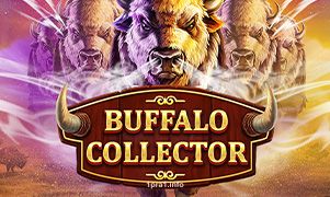 Imagem do jogo Buffalo Collector